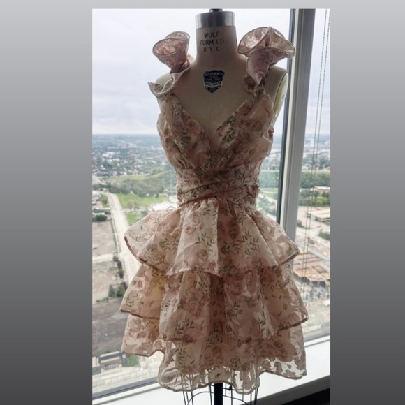 Floral Ruffle Tiered Mini Dress (Pastel Rose Print • Never Worn • Size S/M) - Picture 2 of 3